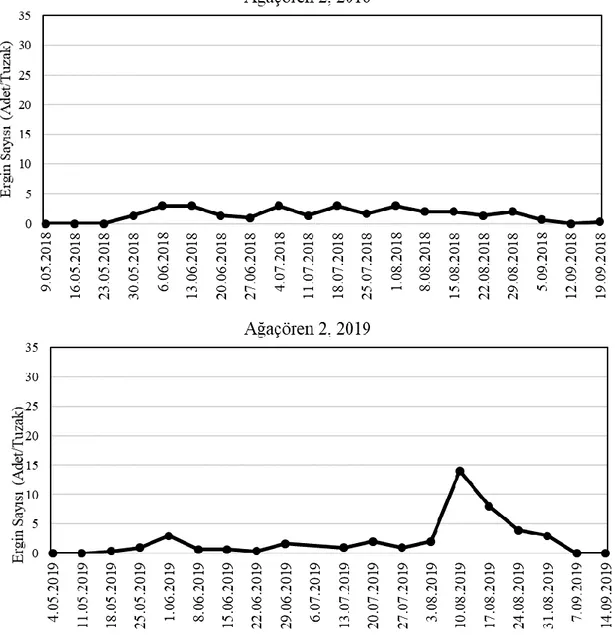 Şekil 4.2. Ağaçören-2 Lokasyonunda Elma İçkurdunun 2018-2019 Yıllarında Popülasyon Değişimi 