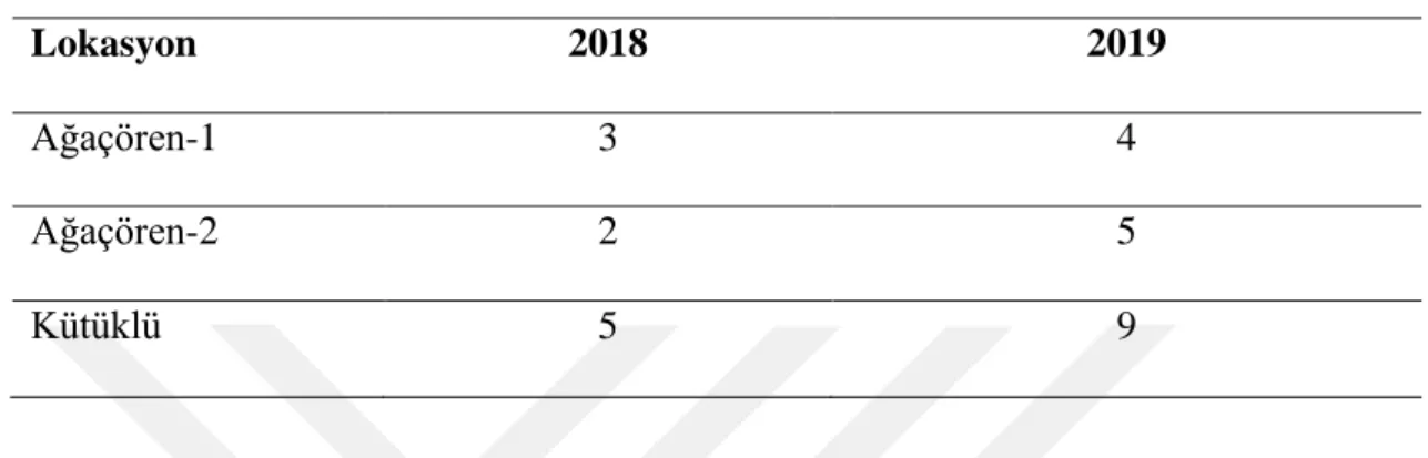 Çizelge 4.1. Çalışmanın Yürütüldüğü bahçelerde bulaşıklık oranları (%) 