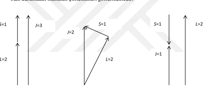ġekil  1.4.  Spin  (S)  ve  yörünge  (L)  açısal  momentlerinin  (J)  toplam  açısal  momentumunu  oluşturmak üzere bir araya gelmeleri