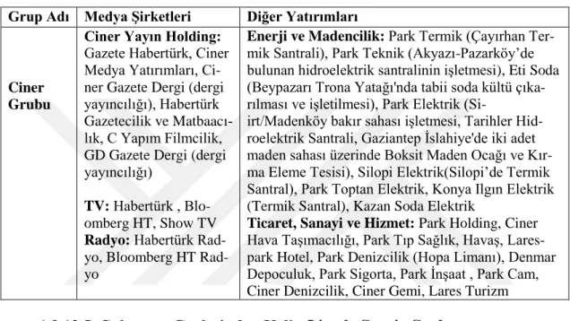 Tablo 12. Ciner Grubu Yatırımları 16
