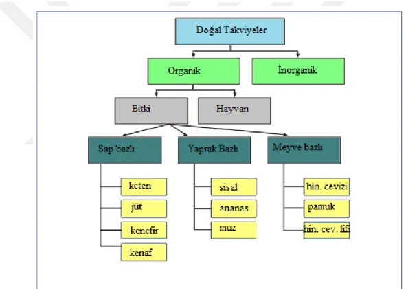 Şekil 1.2. Doğal takviye türleri (Kotek, 2006) 