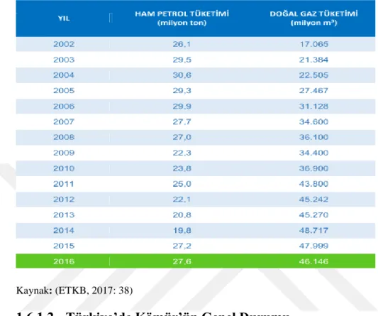 Tablo 1-5: Ham Petrol ve Doğal Gaz Tüketim 