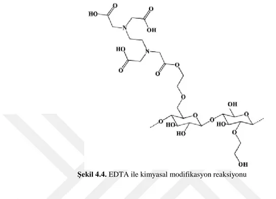 Şekil 4.4. EDTA ile kimyasal modifikasyon reaksiyonu 