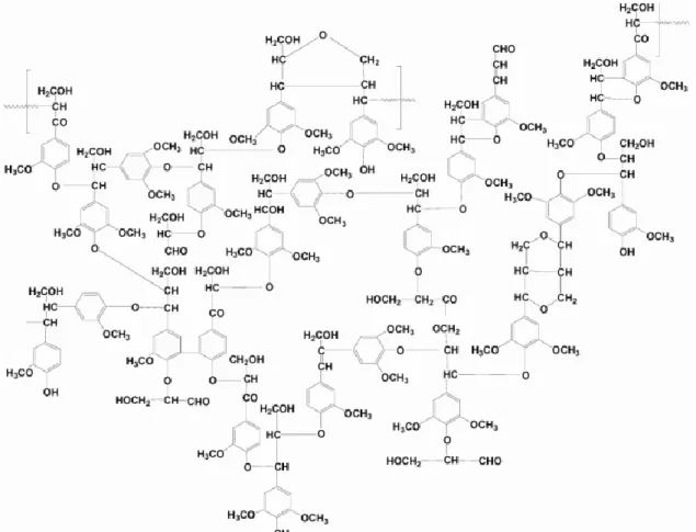 Şekil 4.8. Lignin molekülünün kimyasal yapısı (Brebu ve Vasile, 2010) 