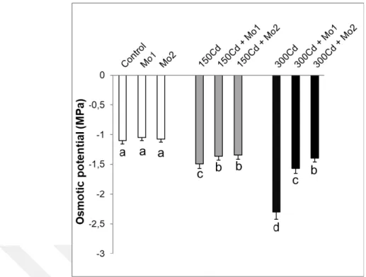 Şekil  4.2.  Kadmiyum  stresi  altındaki  buğday  yapraklarında  molibden  uygulamalarının  ozmotik  potansiyelde  meydana  getirdiği  ortalama  değişimler  (MPa)  (n=5)
