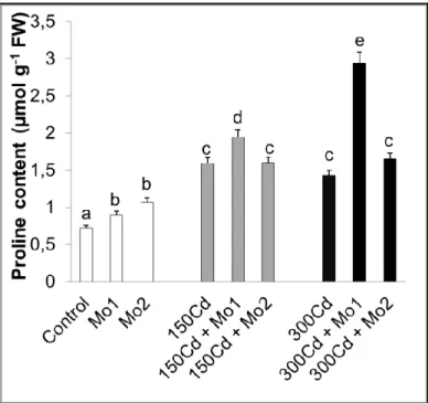 Şekil  4.4.  Kadmiyum  stresi  altındaki  buğday  yapraklarında  molibden  uygulamalarının  yaprak  prolin (µmol  g -1   FW)  içeriklerinde  gözlenen  ortalama  değişimler  (n=3)