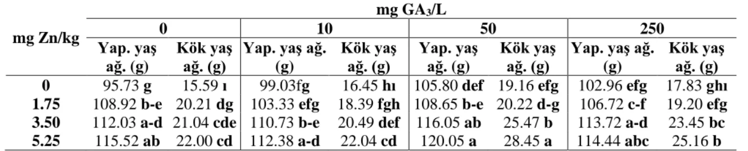 Çizelge 4.2’den görüldüğü gibi,  yaprakta en düşük yaş ağırlık (95.73 g saksı -1 )  kontrol, en yüksek yaş ağırlık (120.05 g saksı -1 ) ise ‘5.25 mg Zn kg -1  + 50 mg GA 3  L -1 ’  uygulamasıyla elde edilmiştir