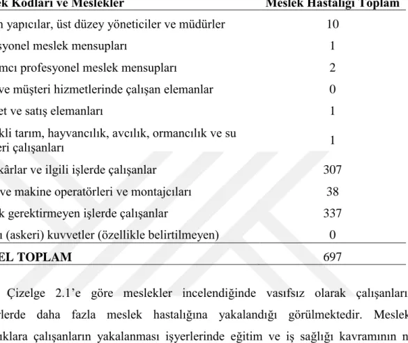 Çizelge 2.1. Meslek Hastalıkları Sayısı (ÇAŞGEM, 2013) 