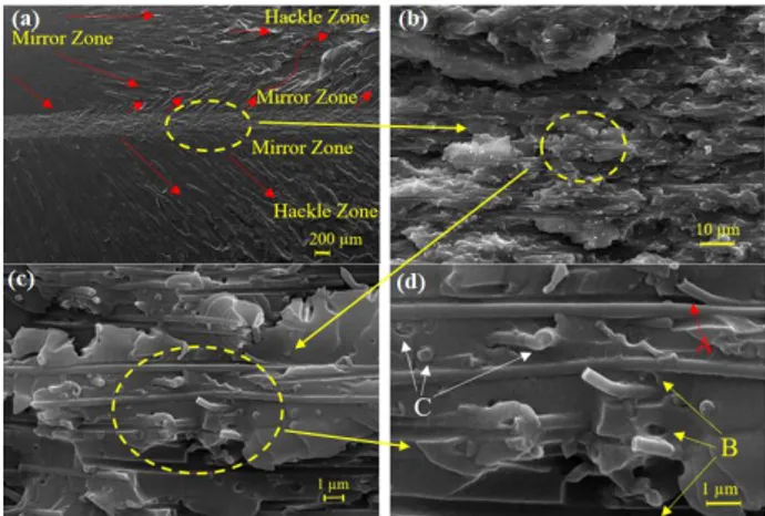 Figure 11. SEM pictures of fractured surfaces of neat epoxy  (a) X21 (b) X500 magnification