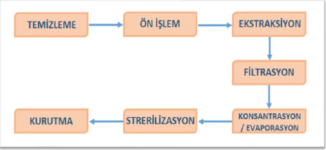 Şekil 2.3. Jelatin üretim basamakları 
