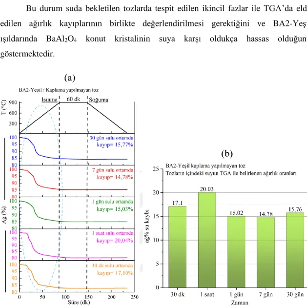 Şekil 4.5. Suda çeşitli sürelerde bekletilen BA2-Yeşil ışıldar tozlara ait (a) TGA analiz sonuçları ve (b)  ağırlık kayıplarını gösteren bar grafik 