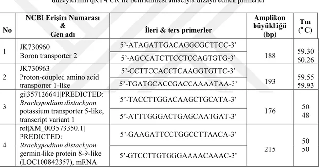 Çizelge 3.5.2. Na ile ilişkili proteini kodlayan qRT-PCR çalışmasında kullanılan hedef gen  No