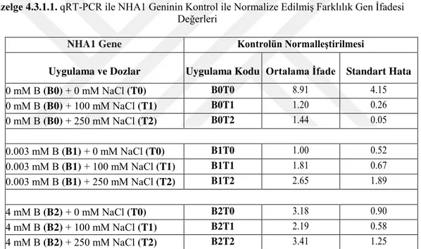 Çizelge 4.3.1.1. qRT-PCR ile NHA1 Geninin Kontrol ile Normalize Edilmiş Farklılık Gen İfadesi  Değerleri 