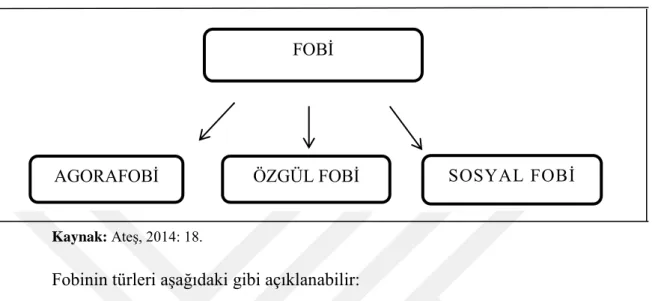 ġekil 2: Fobinin Türleri