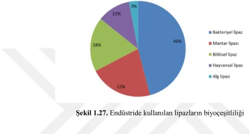 Şekil 1.27. Endüstride kullanılan lipazların biyoçeşitliliği 