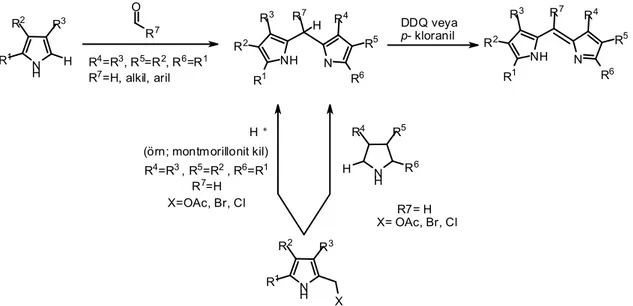 Şekil 1.3’te (R 7  konumuna alkil ya da aril substituenti bağlandığı zaman) alternatif  sentetik yol gösteriliyor