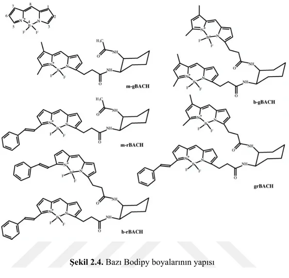 Şekil 2.4. Bazı Bodipy boyalarının yapısı 