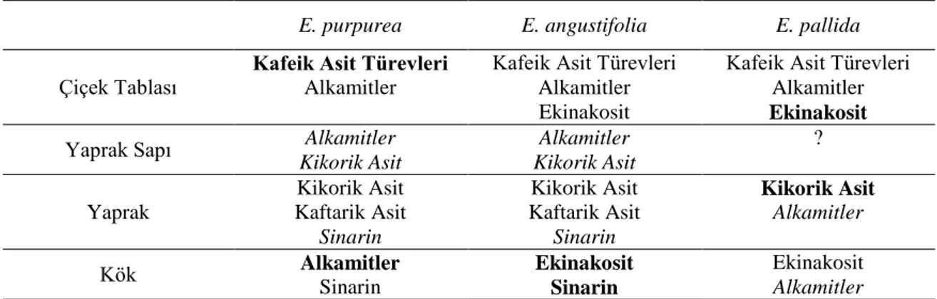 Çizelge 2.1. E. purpurea, E. angustifolia ve E. pallida‘da biyoaktif bileĢiklerin lokalizasyonu 