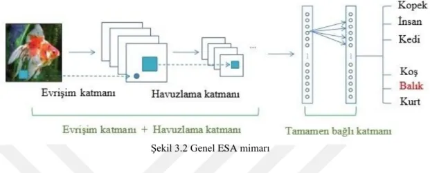 Şekil 3.2 Genel ESA mimarı 
