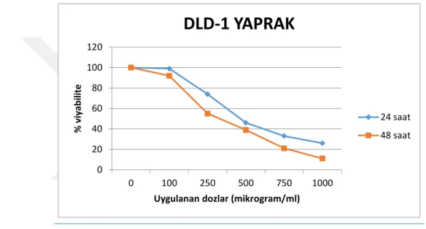 Grafik 4. 1. Yapraktan elde edilen ekstraktın DLD-1 hücre hattına 24-48 saatlik etkileri 