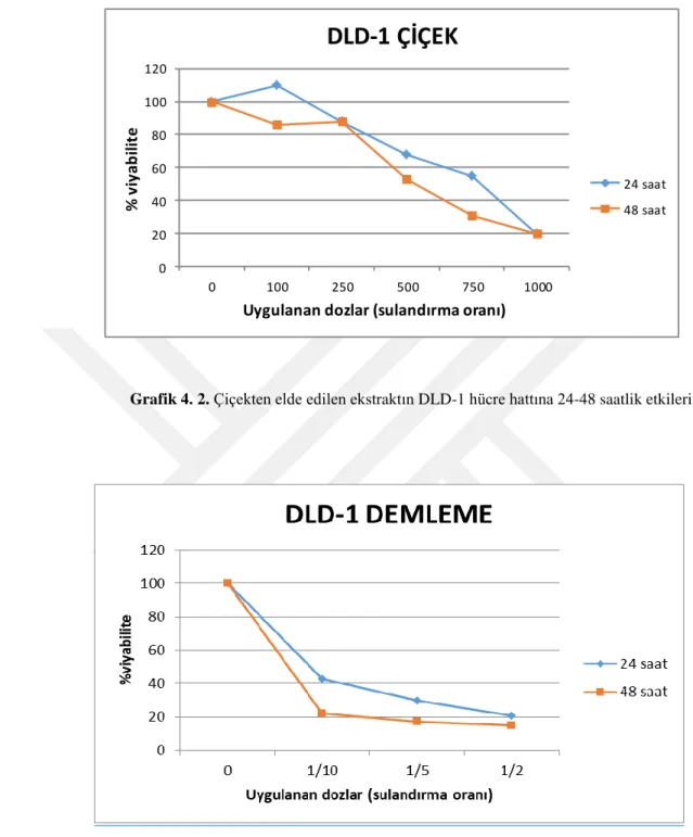 Grafik 4. 2. Çiçekten elde edilen ekstraktın DLD-1 hücre hattına 24-48 saatlik etkileri 