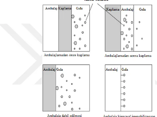 Şekil 2.3. Antimikrobiyal ambalaj sistemlerinde aktif maddelerin difüzyonu (Han, 2003) 