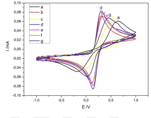 Şekil 4.4 Modifikasyonda kullanılan nanokompozitlerin dönüşümlü voltamogram cevapları: a) GCE,  b) TiO 2 /GCE, c) CoS/GCE, d) TiO 2 -CoS/GCE, e) TiO 2 -In 2 S 3 /GCE, f) TiO 2 -In2S3-Ag/GCE, g) TiO 2 -In 2 S 3 