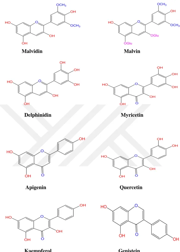 Şekil 1.2.  Malva sylvestris'de bulunan bazı flavonoidler 