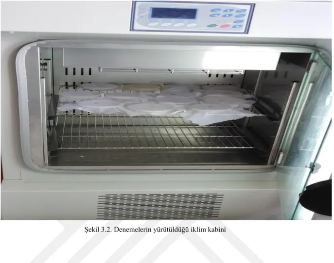 Şekil 3.2. Denemelerin yürütüldüğü iklim kabini 