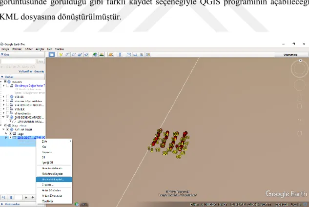 Şekil 3.23. Bitki koordinatlarının Google Earth Pro Yazılımına yüklenerek uygun dönşümlerin yapılması 