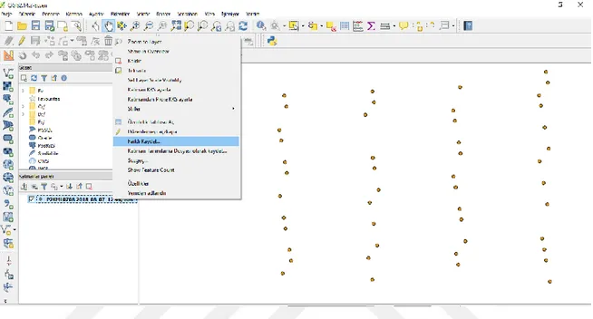 Şekil 3.24. Bitki koordinatlarının QGIS programına yüklenerek ESRI shapefile dosyasına dönüştürülmesi 