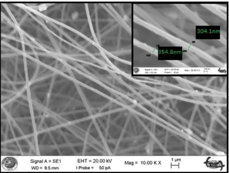 Şekil 5.10. Ağırlıkça % 3 Ag nanopartikül katkılı PAN+PMMA kompozit nanofiberlerin SEM görüntüsü 