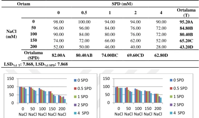 ġekil  4.3.  Alcantara  ve  Tunca  çeşitlerinde  farklı  NaCl  ve  SPD  konsantrasyonları  içeren  ortamlardaki çimlenme gücü (%) 