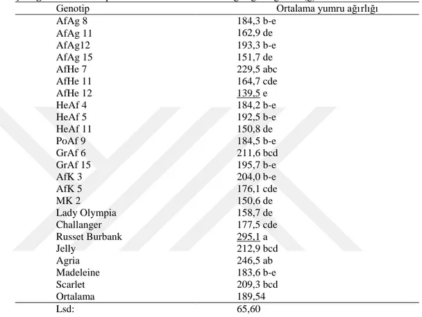 Çizelge 4.2. 2. Genotiplerine Ait Ortalama Yumru Ağırlığı Değerleri (g) 