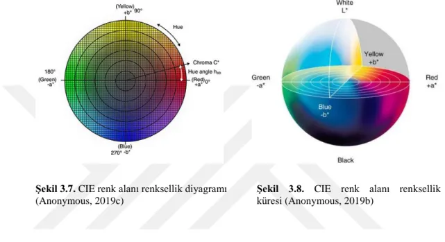 Şekil 3.7. CIE renk alanı renksellik diyagramı   Şekil  3.8.  CIE  renk  alanı  renksellik 