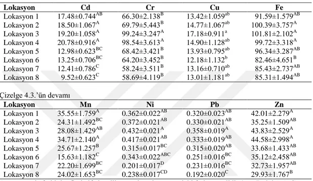 Çizelge 4.3. Bal arısı örneklerinin Cd, Cr, Cu, Fe, Mn, Ni, Pb ve Zn içerikleri (Cd ve Cr µg/kg, diğerleri  mg/kg; X_ ±Sx_ )  Lokasyon  Cd  Cr  Cu  Fe  Lokasyon 1  17.48±0.744 AB  66.30±2.138 B 13.42±1.059 ab   91.59±1.579 AB Lokasyon 2  18.50±1.067 A  69.