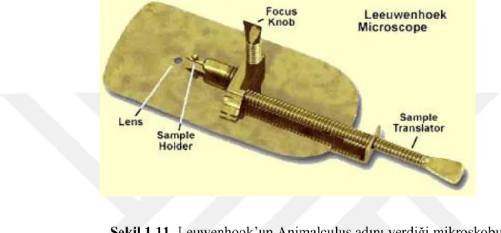 Şekil 1.11. Leuwenhook’un Animalculus adını verdiği mikroskobu  (http://www.nkfu.com/anton-van-leeuwenhoek-neyi-icat-etti/) 