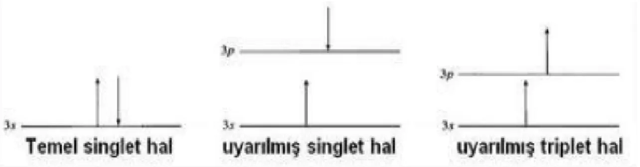 Şekil 1.20. Singlet ve triplet durumdaki uyarılmış elektronların spin yönelimlerinin şematik gösterimi  (Cüce, 2012) 