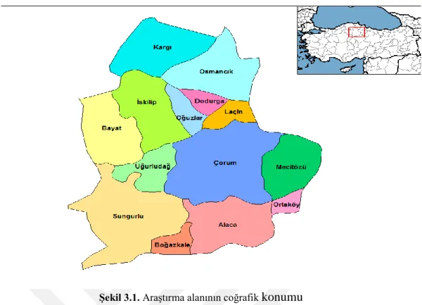 Şekil 3.1. Araştırma alanının coğrafik  konumu 