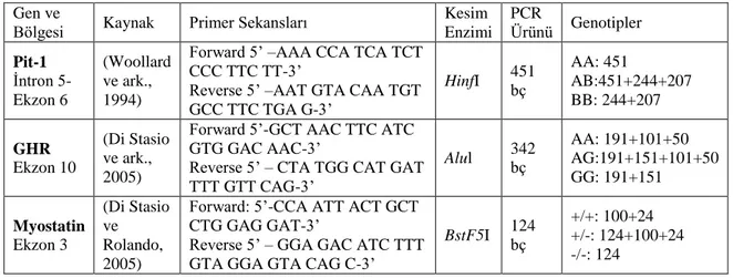 Çizelge 3.2. Pit-1, GHR ve Myostatin genlerinde PCR ile çoğaltılması hedeflenen gen bölgeleri,  kullanılan primerler, elde edilen PCR ürünleri ile birlikte genotipleri 