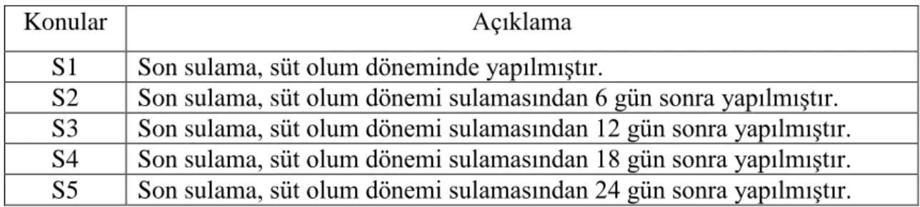 Çizelge 3.3. Araştırma konuları 