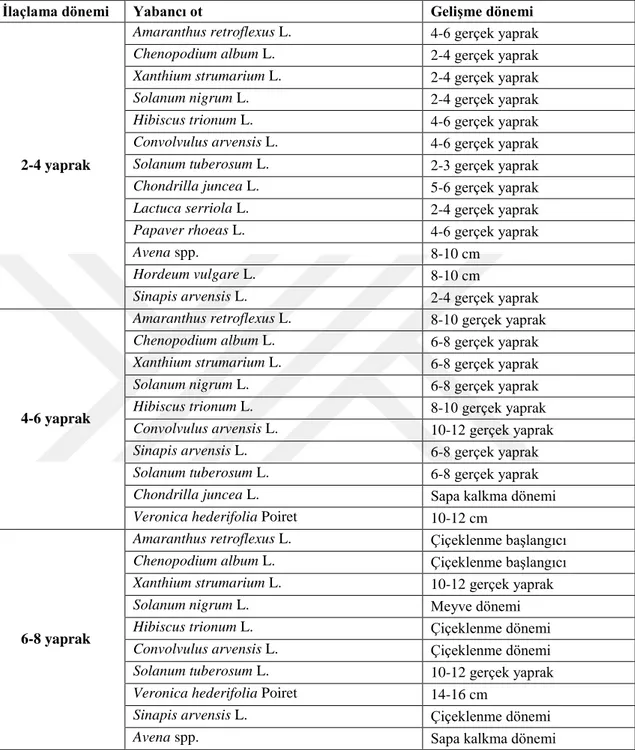 Çizelge 3.6.6. Çıkış sonrası ilaçlama döneminde deneme alanında mevcut yabancı otlar, gelişme  dönemleri (2019) 