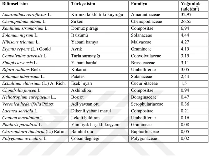 Çizelge 4.1.2. Deneme alanında bulunan yabancı ot türleri ve yoğunlukları (2019 yılı) 