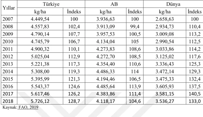 Çizelge 5.2.Türkiye’de ve Avrupa Birliğinde Havuç Veriminin Gelişimi (2007=100) 