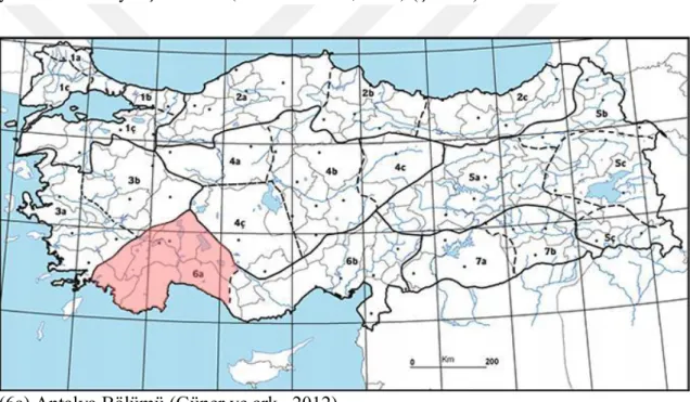 Şekil 4. Sideritis stricta’ nın ülkemizdeki yayılış alanları 