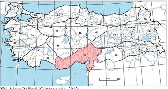 Şekil 5. Sideritis vuralii’ nin ülkemizdeki yayılış alanları 