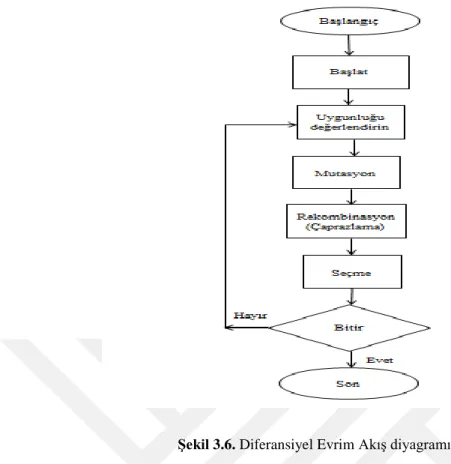 Şekil 3.6. Diferansiyel Evrim Akış diyagramı 