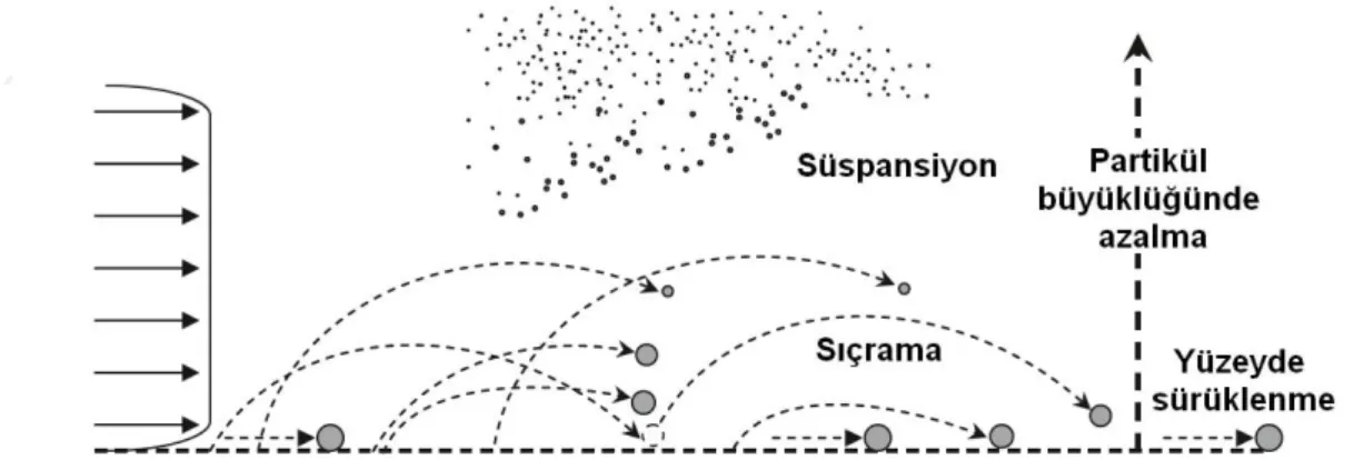 Şekil 2.1. Rüzgâr erozyonu ile hareket eden taneciklerin taşınma şekilleri (Blanco-Canqui ve Lal, 2008)