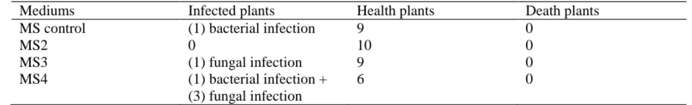 Table 4 . The number of infected, health, and death plants during rooting stage. 