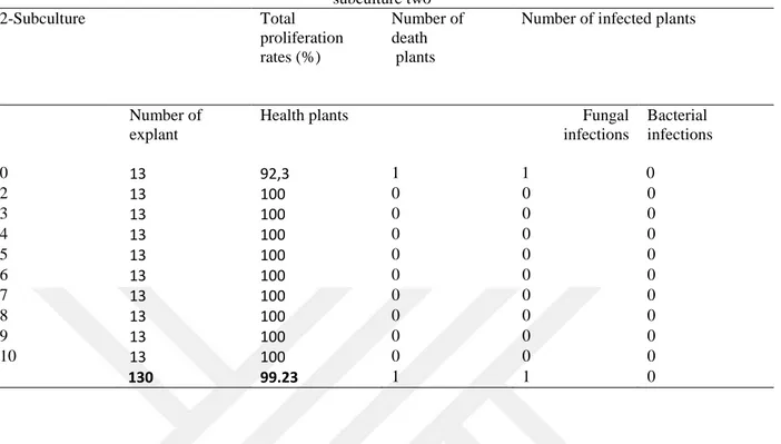 Table 6. Total proliferation rates, number of death plants and number of infected plants measure of  subculture two  2-Subculture   Total  proliferation  rates (%)  Number of death  plants  